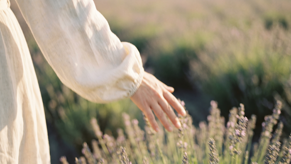 Magnesium in der Perimenopause: Warum die Form über die Wirkung entscheidet