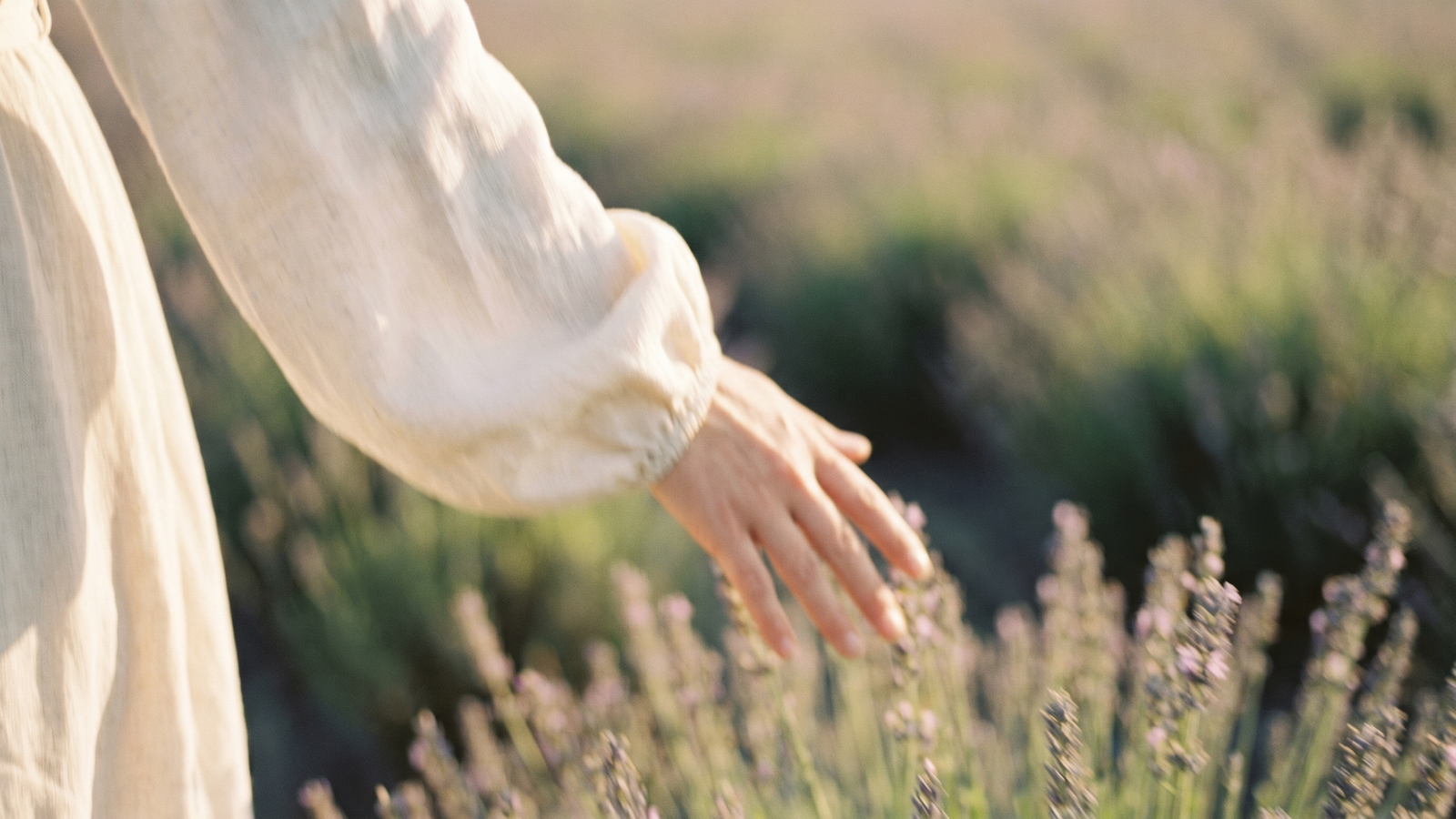 Magnesium in der Perimenopause: Warum die Form über die Wirkung entscheidet